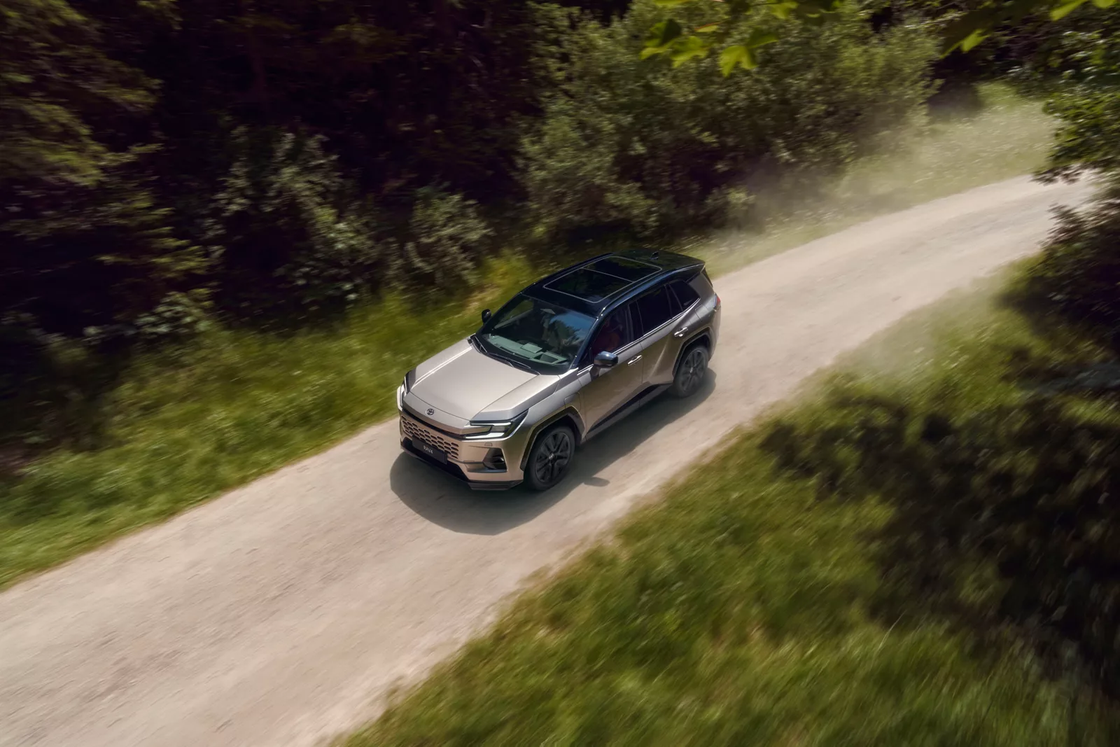Foto: neuer RAV4 in grau seitlich von vorne auf der Landstraße Auto Ebner